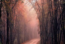 FB体育在线-亚平宁惊雷炸裂NBA版图！湖人战略遭意大利黄金一代狙击