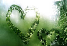 FB体育网页版-蓝白风暴席卷亚洲杯！阿根廷神级晋级背后的双面战歌