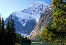 FB体育APP-紫金风暴席卷绿茵场！湖人跨界美洲杯绝杀阿根廷创体坛神话