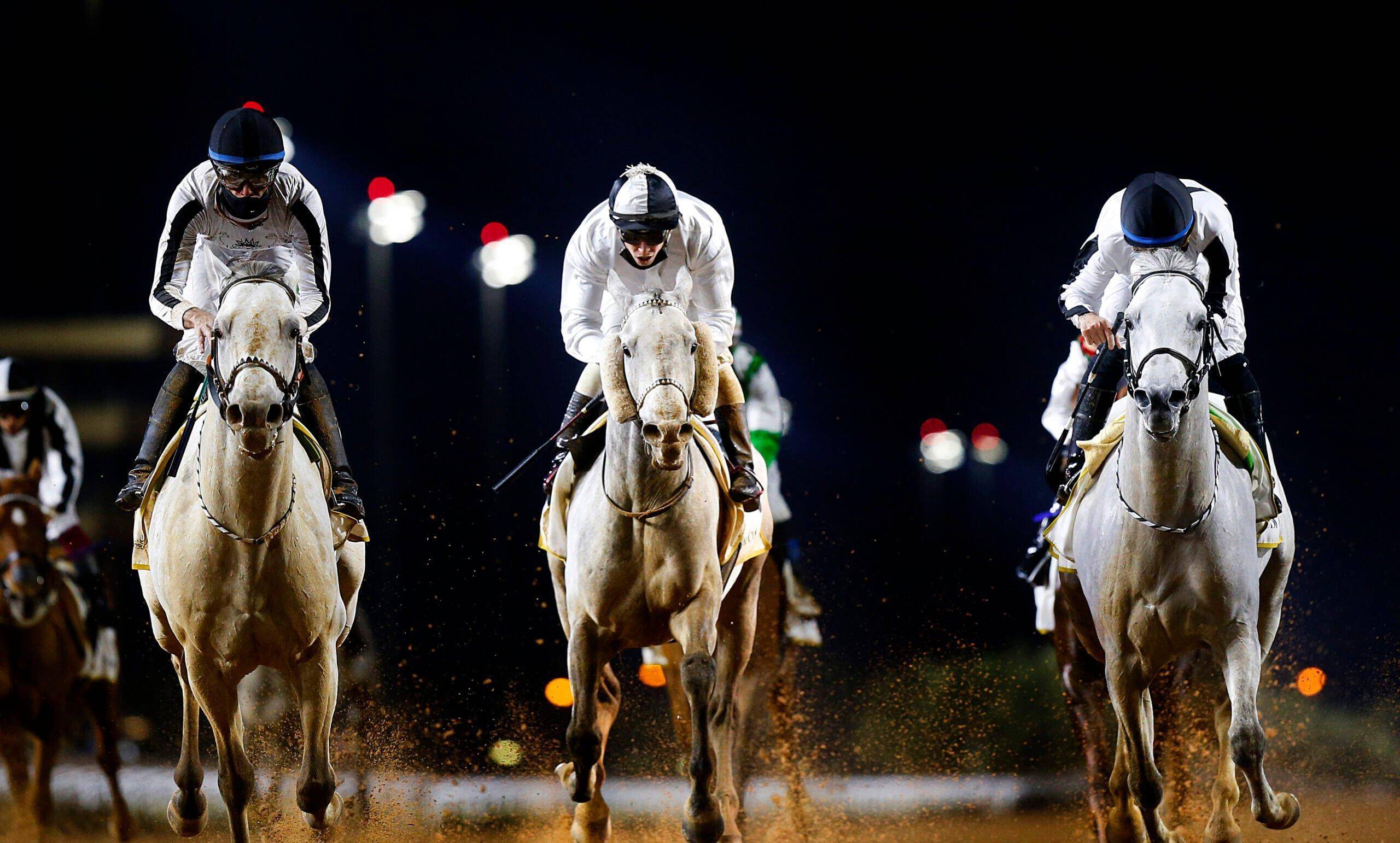 体育盛事各种精彩纷呈，吸引全球关注